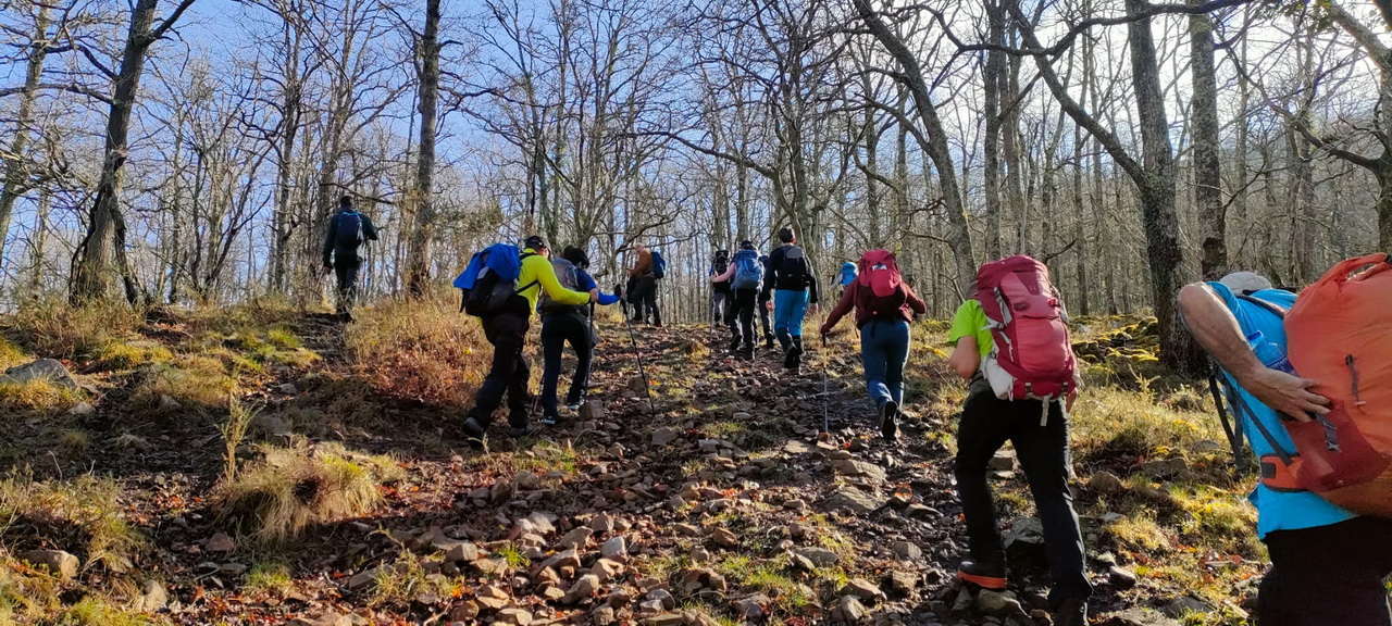 WhatsApp Image 2026-03-08 at 21.27.45 (3)